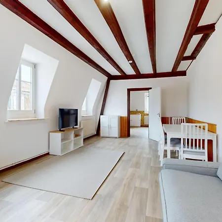 Le Carre Mulhousien Apartment Mulhouse